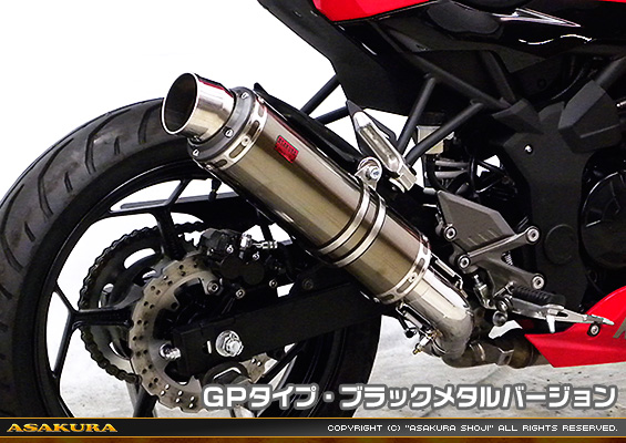 Ninja250SL【JBK-BX250A】用 TTRタイプマフラー GPタイプ ブラックメタルバージョン