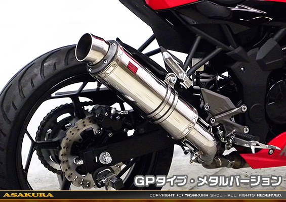 Ninja250SL【JBK-BX250A】用 TTRタイプマフラー GPタイプ メタルバージョン
