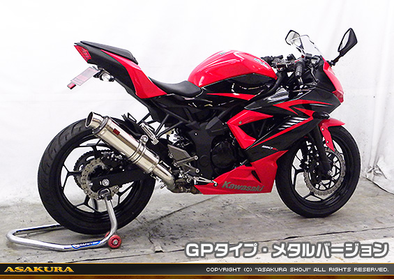 Ninja250SL【JBK-BX250A】用 TTRタイプマフラー GPタイプ メタルバージョン