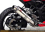 Ninja250SL【JBK-BX250A】用 TTRタイプマフラー GPタイプ メタルバージョン