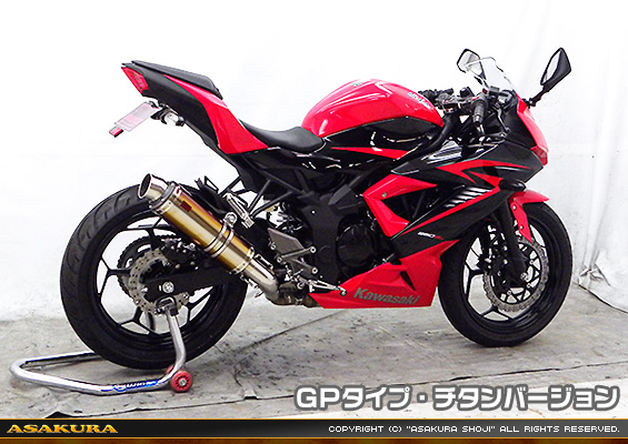 Ninja250SL【JBK-BX250A】用 TTRタイプマフラー GPタイプ チタンバージョン