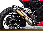 Ninja250SL【JBK-BX250A】用 TTRタイプマフラー GPタイプ チタンバージョン