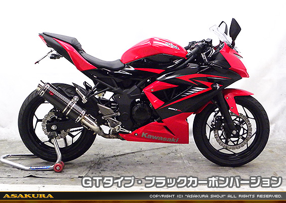 Ninja250SL【JBK-BX250A】用 TTRタイプマフラー GTタイプ ブラックカーボンバージョン