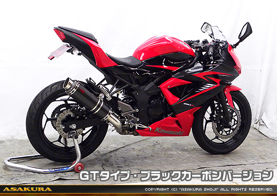 Ninja250SL【JBK-BX250A】用 TTRタイプマフラー GTタイプ ブラックカーボンバージョン