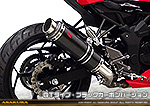 Ninja250SL【JBK-BX250A】用 TTRタイプマフラー GTタイプ ブラックカーボンバージョン