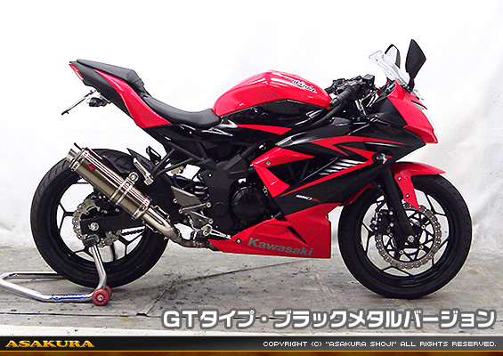 Ninja250SL【JBK-BX250A】用 TTRタイプマフラー GTタイプ ブラックメタルバージョン