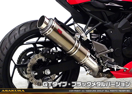 Ninja250SL【JBK-BX250A】用 TTRタイプマフラー GTタイプ ブラックメタルバージョン