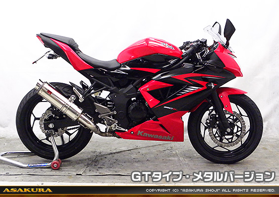 Ninja250SL【JBK-BX250A】用 TTRタイプマフラー GTタイプ メタルバージョン