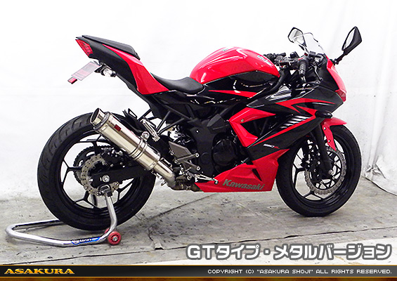 Ninja250SL【JBK-BX250A】用 TTRタイプマフラー GTタイプ メタルバージョン