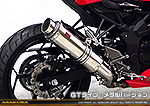 Ninja250SL【JBK-BX250A】用 TTRタイプマフラー GTタイプ メタルバージョン