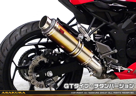 Ninja250SL【JBK-BX250A】用 TTRタイプマフラー GTタイプ チタンバージョン