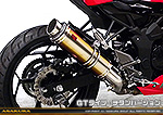 Ninja250SL【JBK-BX250A】用 TTRタイプマフラー GTタイプ チタンバージョン