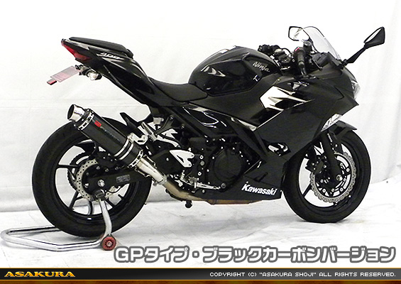 Ninja400【2BL-EX400G】用 TTRタイプマフラー GPタイプ ブラックカーボンバージョン