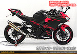Ninja400【2BL-EX400G】用 TTRタイプマフラー GTタイプ チタンバージョン