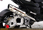 PGO G-MAX125用 SHタイプマフラー RSタイプ