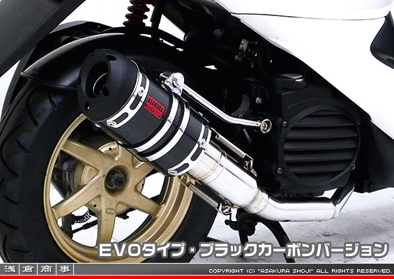 スマートDio・スマートDio Z4用 ZZRタイプマフラー EVOタイプ ブラックカーボンバージョン