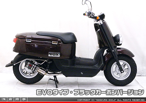 VOX デラックス【JBH-SA52J】用 ZZRタイプマフラー EVOタイプ ブラックカーボンバージョン