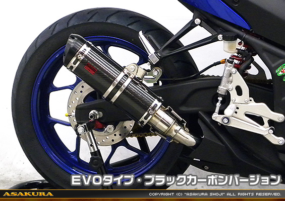 YZF-R25【JBK-RG10J】/YZF-R3【EBL-RH07J】用 TTRタイプマフラー EVOタイプ ブラックカーボンバージョン