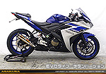 YZF-R25【JBK-RG10J】/YZF-R3【EBL-RH07J】用 TTRタイプマフラー EVOタイプ チタンバージョン