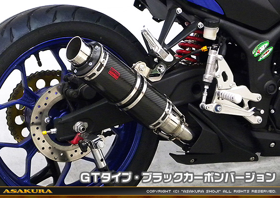 YZF-R25【JBK-RG10J】/YZF-R3【EBL-RH07J】用 TTRタイプマフラー GTタイプ ブラックカーボンバージョン
