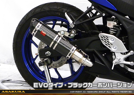 YZF-R25【2BK-RG43J】/YZF-R3【2BL-RH13J】用 TTRタイプマフラー EVOタイプ ブラックカーボンバージョン
