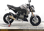 Z125 PRO用 DDRタイプマフラー EVOタイプ チタンバージョン【フルエキゾースト】