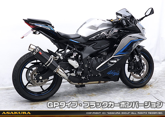 ZX-25R【8BK-ZX250H】用 TTRタイプマフラー GPタイプ ブラックカーボンバージョン
