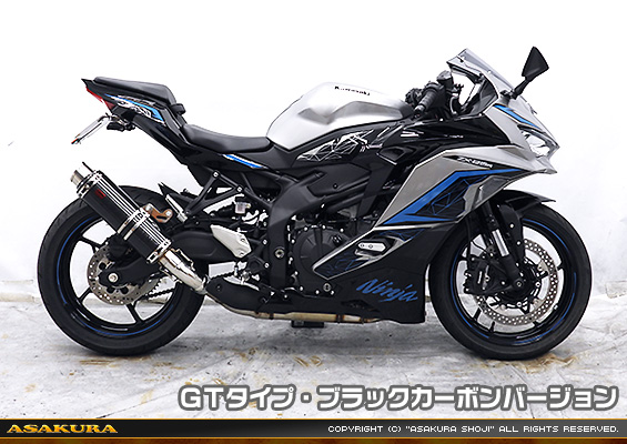 ZX-25R【8BK-ZX250H】用 TTRタイプマフラー GTタイプ ブラックカーボンバージョン