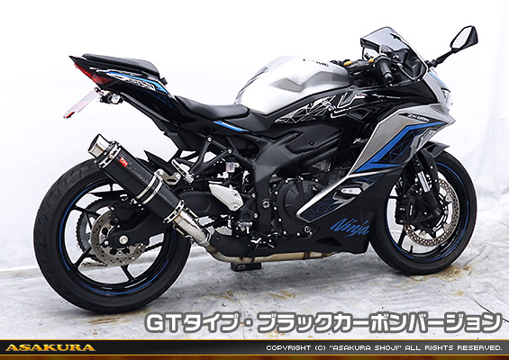 ZX-25R【8BK-ZX250H】用 TTRタイプマフラー GTタイプ ブラックカーボンバージョン